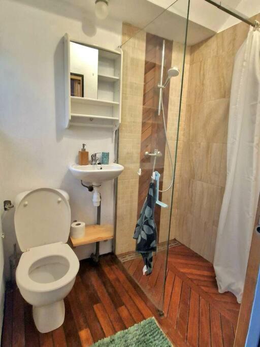 Chaleureux Appartement - Hyper Centre - Charbonnet 特鲁瓦 外观 照片